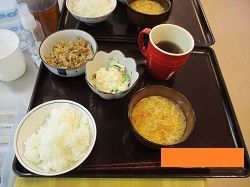 サラダと小鉢、ご飯と味噌汁がセットになったメニュー