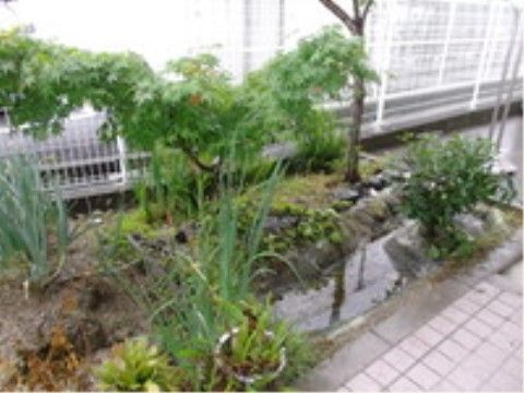 入居者様が緑と触れ合う機会を持てるよう、施設には花壇もご用意している。お散歩の際には、季節ごとの草花や木々の変化をお楽しみいただける。