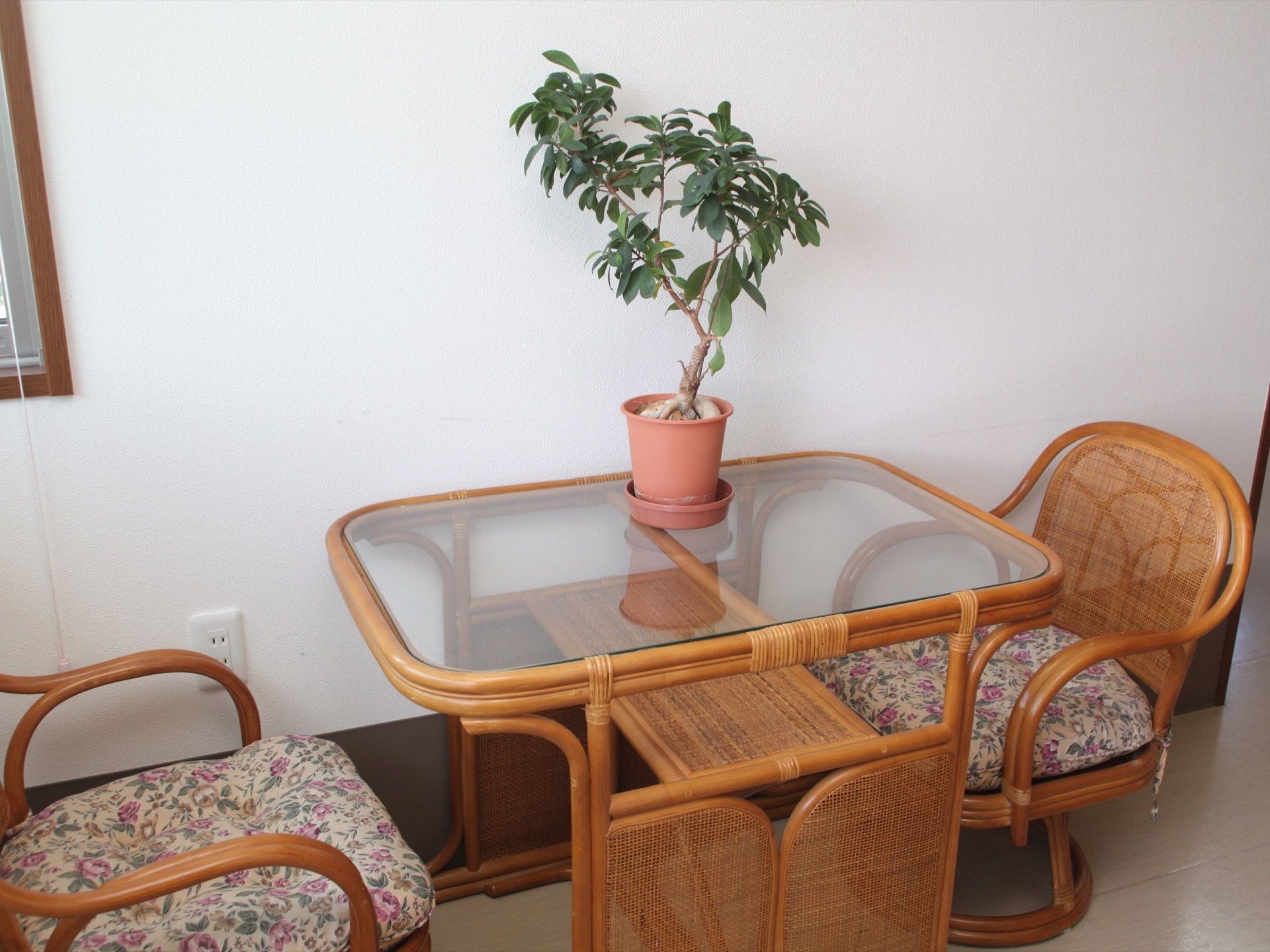 ガラスのテーブルと椅子が二脚用意されている。テーブルの上には鉢に植えられた小さな観葉植物が置いてある。