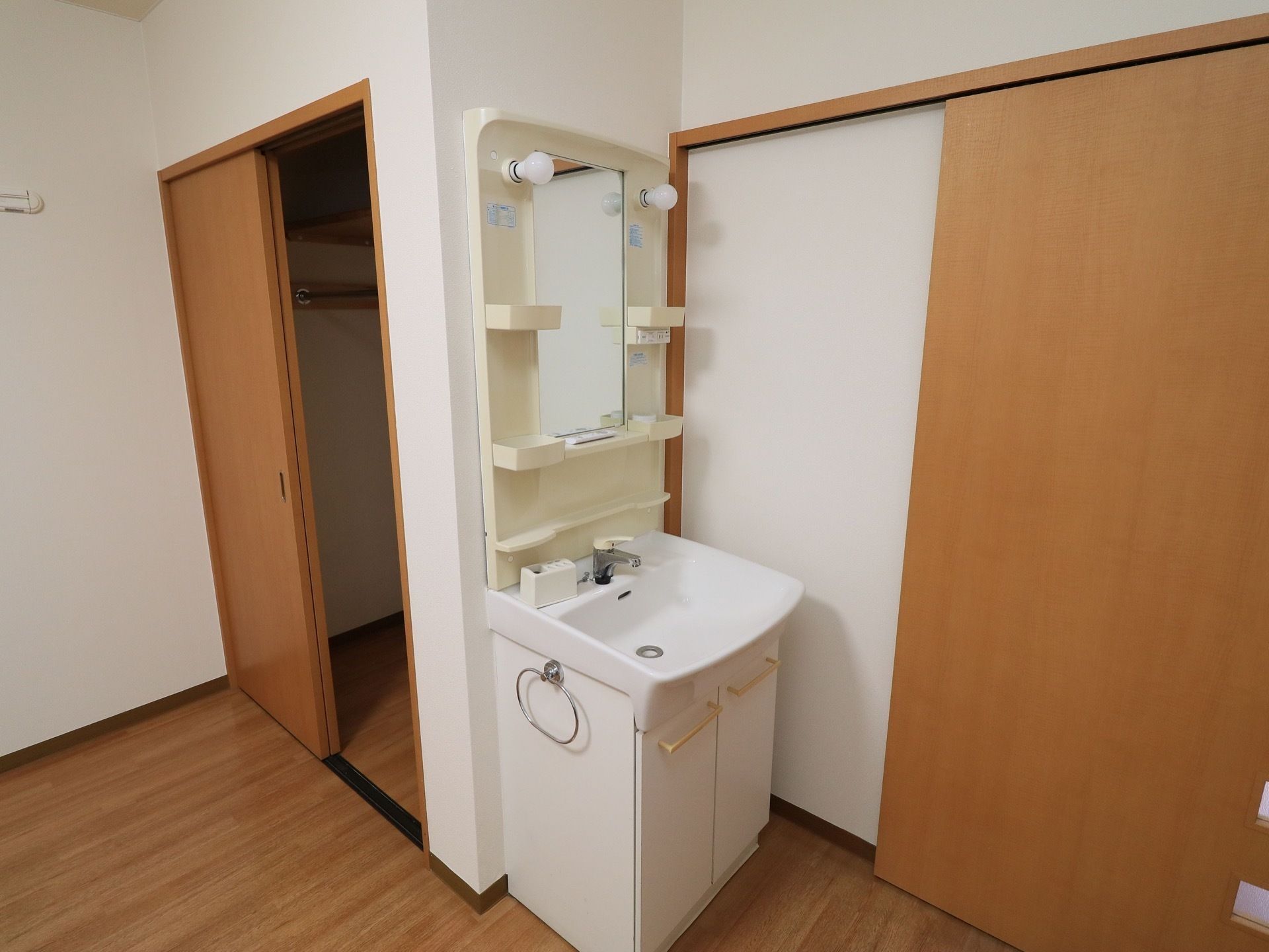 扉はスライド式のドアになっており、その横に洗面台が置かれている。段差のないフローリングになっている。