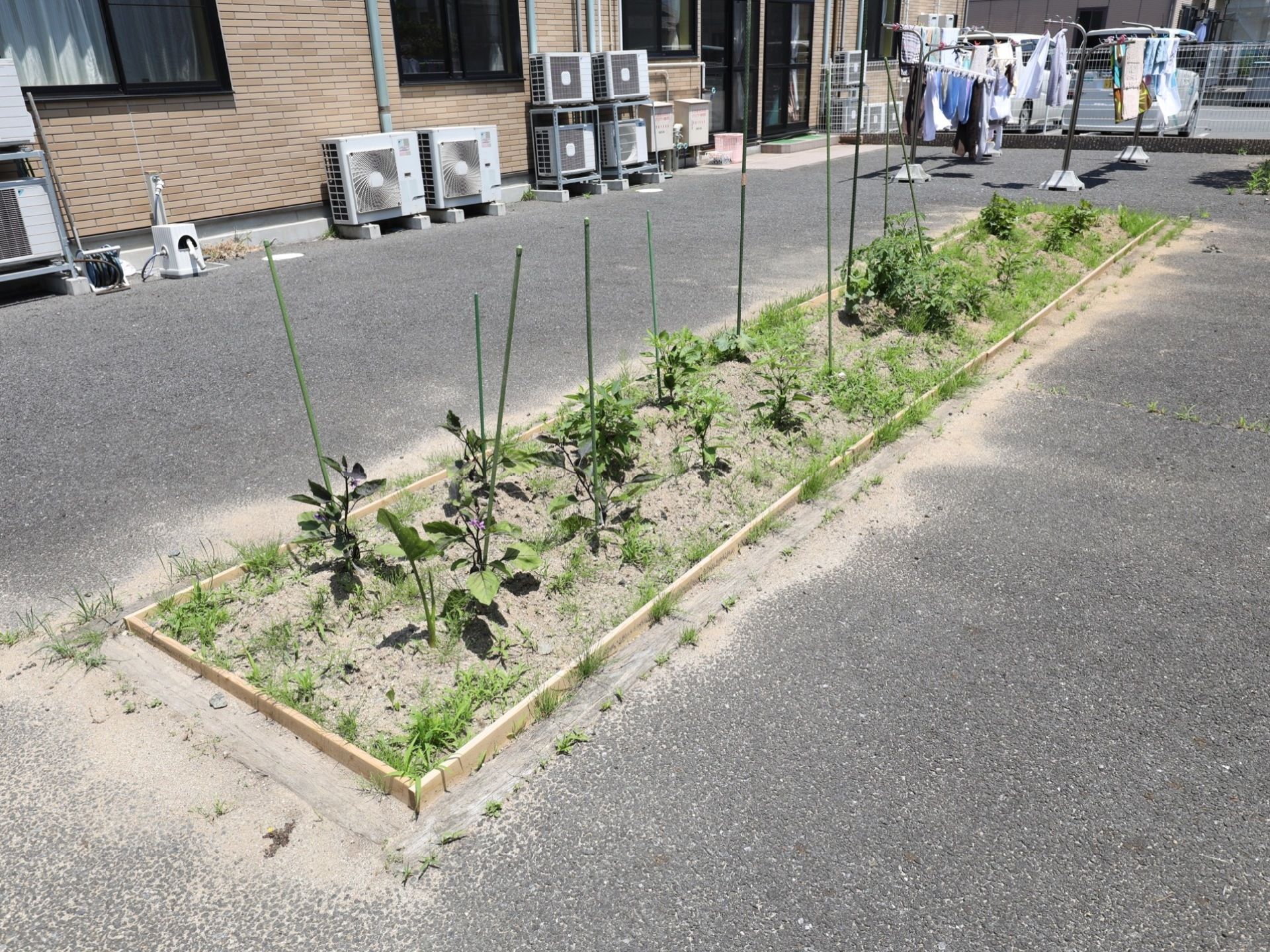 敷地内にある畑スペースになすなどが植えられている。土に触れ、野菜や植物を育てたり収穫する喜びが感じられる。