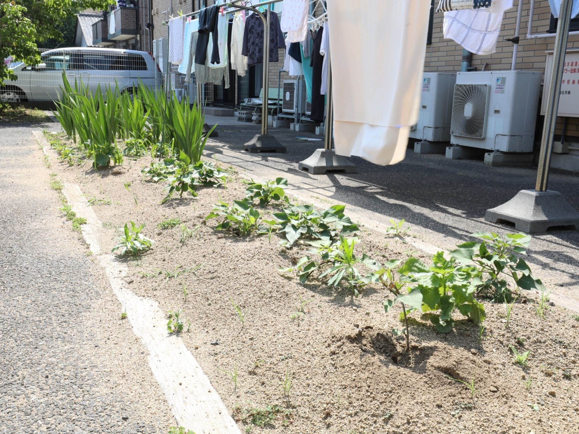 施設の敷地には物干し台があり、たくさんの洗濯物を干すことができる。野菜や草花を植えているスペースがあり、自然に触れることができる。