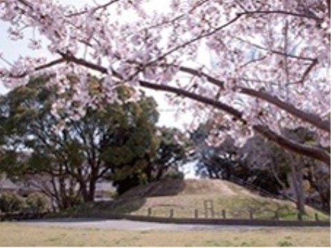 施設のそばには、歴史のある古墳がある。レクリエーション活動の一環として、スタッフが引率して入居者様をお連れすることがある。