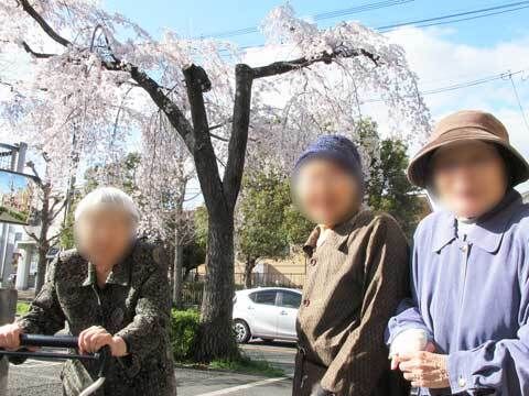 最寄り駅は施設から徒歩数分の距離にあり便利である。森林がトンネルのようになっていて、趣のある石畳の歩道が美しい自然に恵まれた立地である。