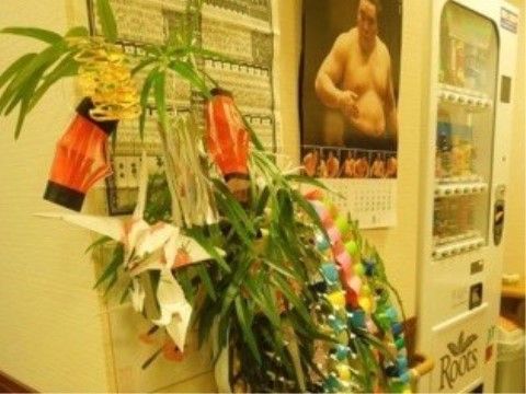 館内の廊下には自動販売機があるので、気軽に利用できる。また、草花や入居者様のニーズにあった掲示物も貼られている。