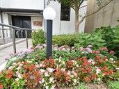 花壇とエントランスの風景