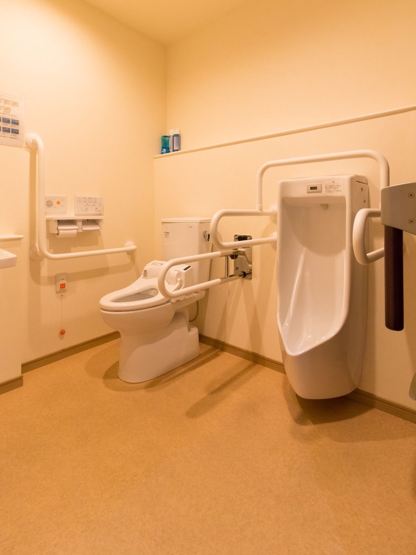 男性用便器と洋式便器があるタイプのトイレ。壁に洋式トイレの操作ボタンがあり、ナースコールも設置されている。