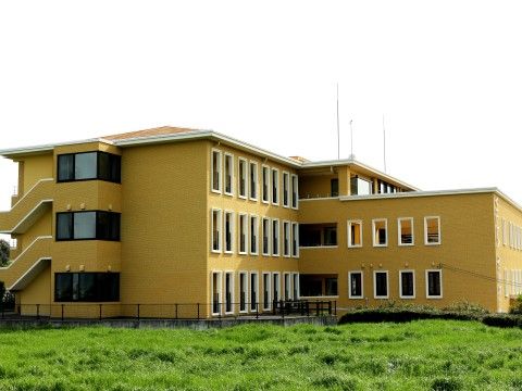 草が茂る空き地の奥に建っている、黄色い３階建ての建物