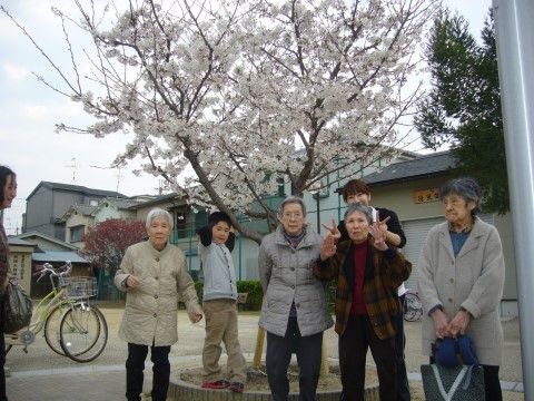 「こうせい苑 グループホーム」のお花見。季節のイベント。