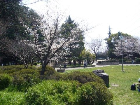 「第二こうせい苑 グループホーム」の周辺。緑豊かな公園がある。
