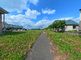 広々とした青空の下の敷地