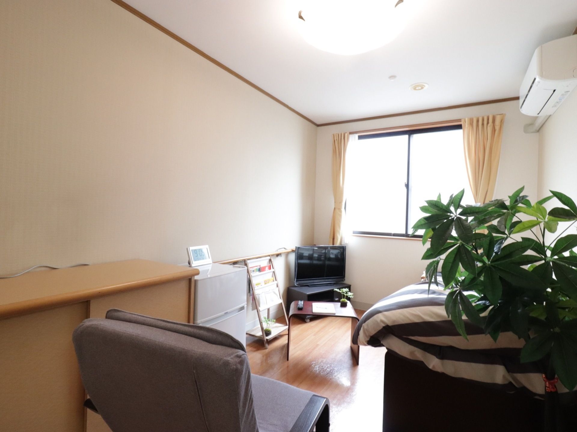 居室にはテレビやベッド、チェストなどを設置している。観葉植物もあり、リラックスできる空間になっている。