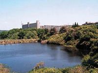施設からほど近くにある池がある公園である。自然が豊かで緑が多く残っているので四季の移り変わりを楽しむことができる。