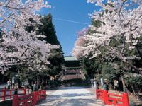 重要文化財に指定されている神社がある。お花見や、神社ではさまざまな行事が行われているので楽しむことができる。