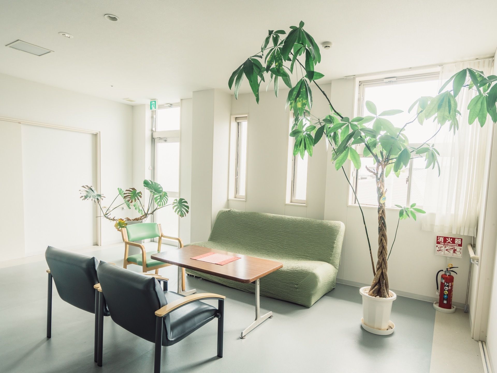 緑色の二人掛けのソファがある。テーブルを挟んで椅子が二脚用意されている。観葉植物が二種類置かれている。