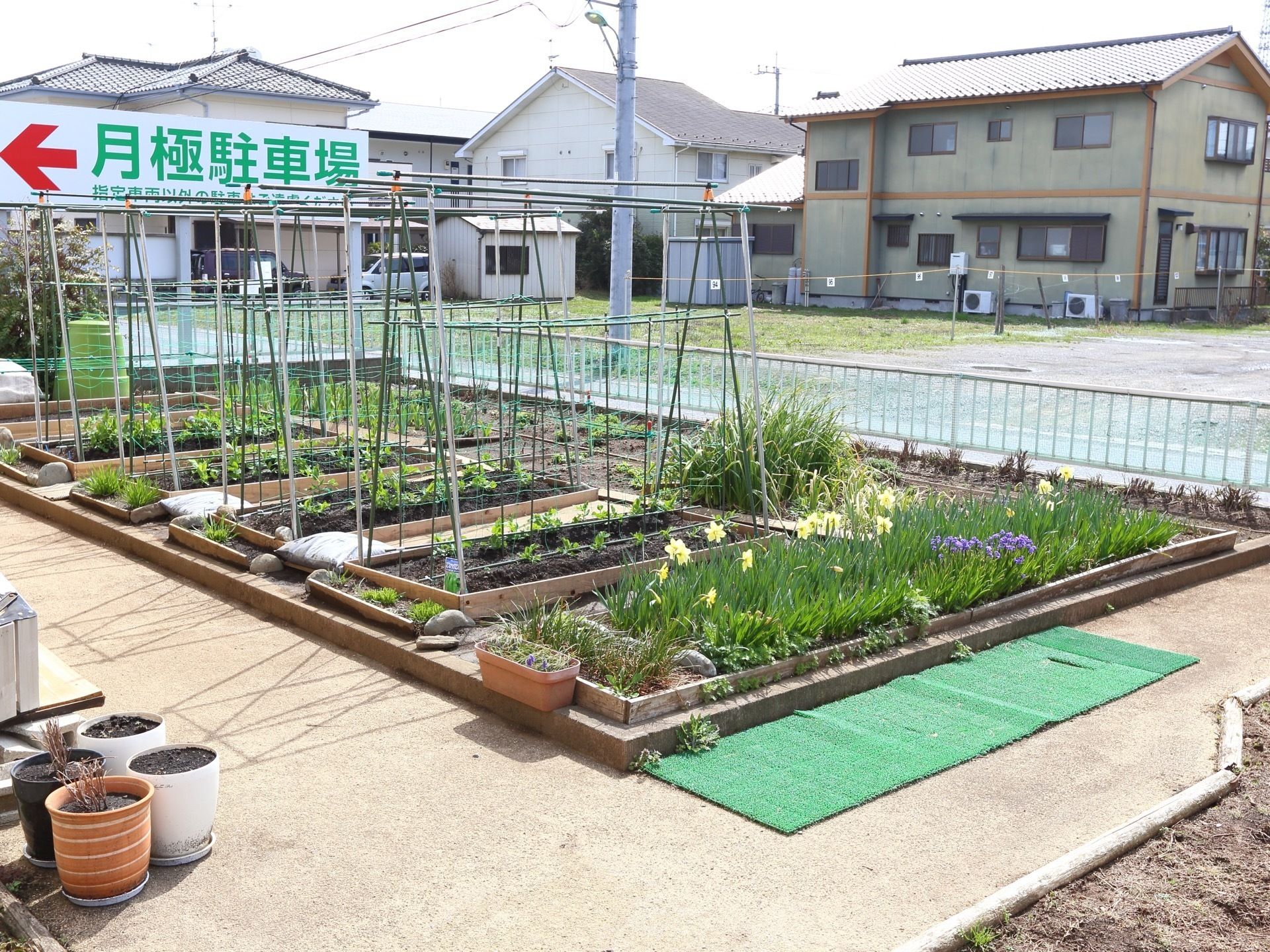 菜園には花が咲いており、奥には野菜も植えられている。手前には何も植えられていない鉢植えが４つ並んでおり、菜園の奥は住宅街になっている。