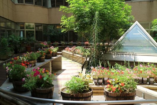 プロムナードガーデン