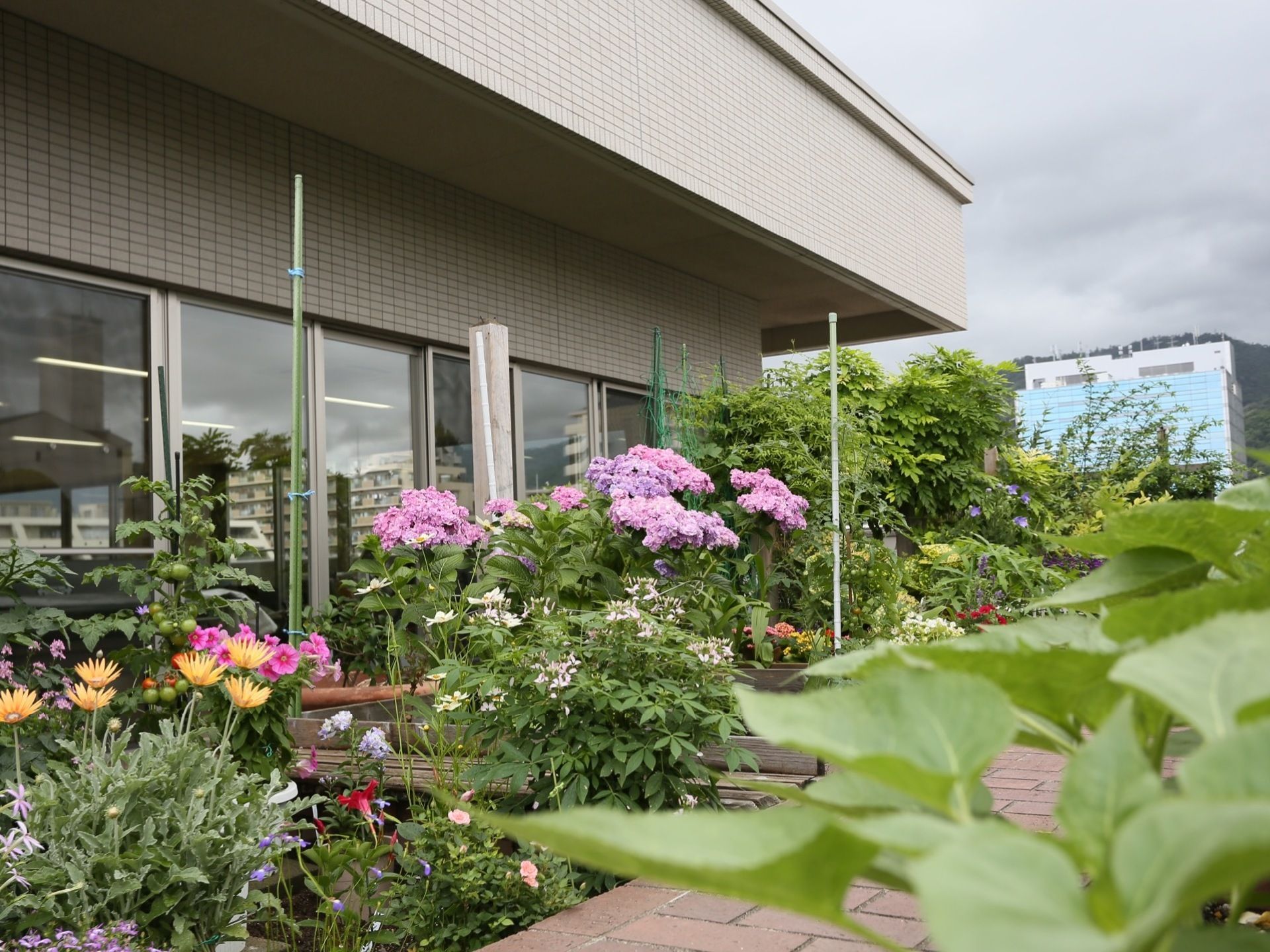 アジサイなどたくさんの種類の花や野菜が植えられている。レンガ調の通路があり、板で作られた小さな橋がかけられている。
