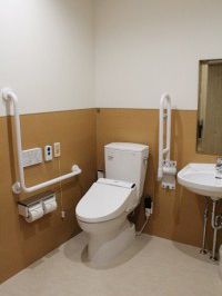 壁にはL字の手すり、便座の横には可動式の手すりが付いている。便座の横には、手洗い場が設置されている。