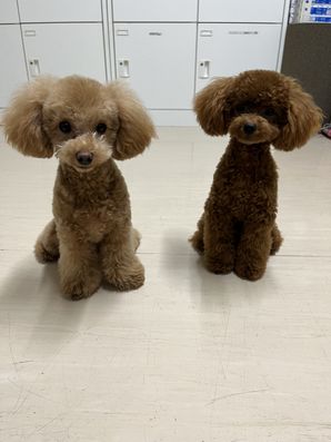 スタッフイメージ