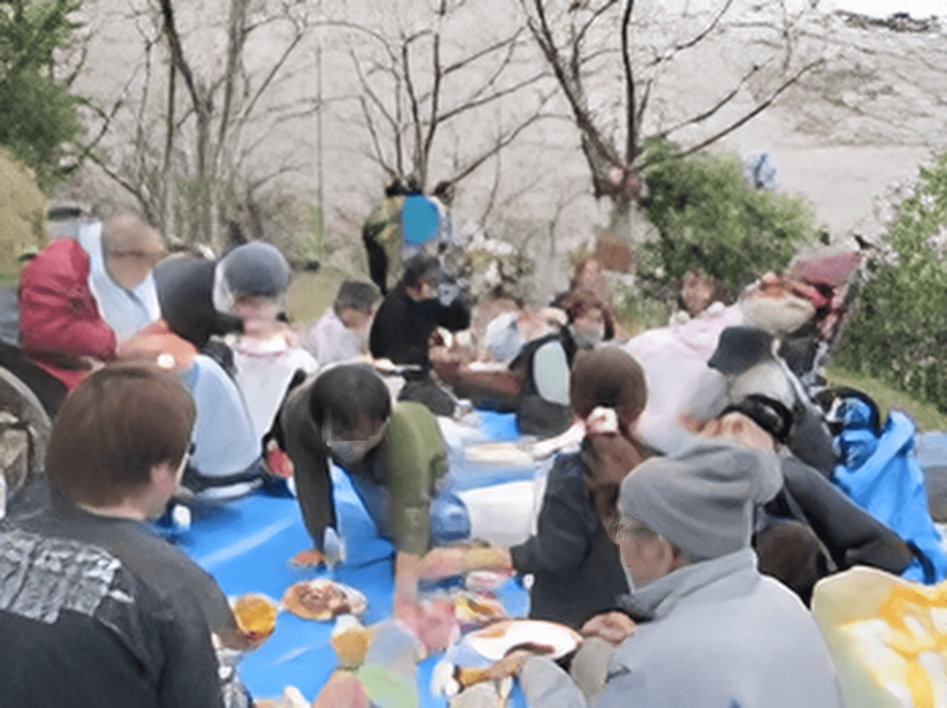 近所の桜の木の下で、お花見を楽しむご入居者様とスタッフ