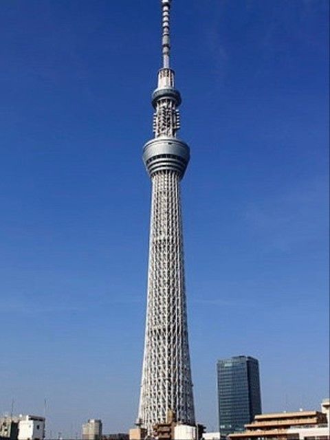 都内の名所であるスカイツリーも、屋上から見ることができる。いつでも好きな時間に、屋上で自分だけの景色を堪能できる。