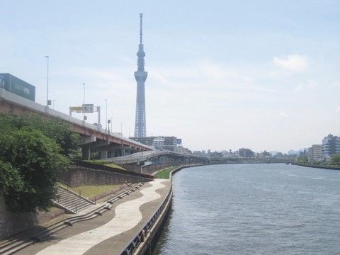 スカイツリーが美しく見える隅田川のスポットが近くにあり、散歩にも最適。春は桜を見ながら散歩を楽しめる。