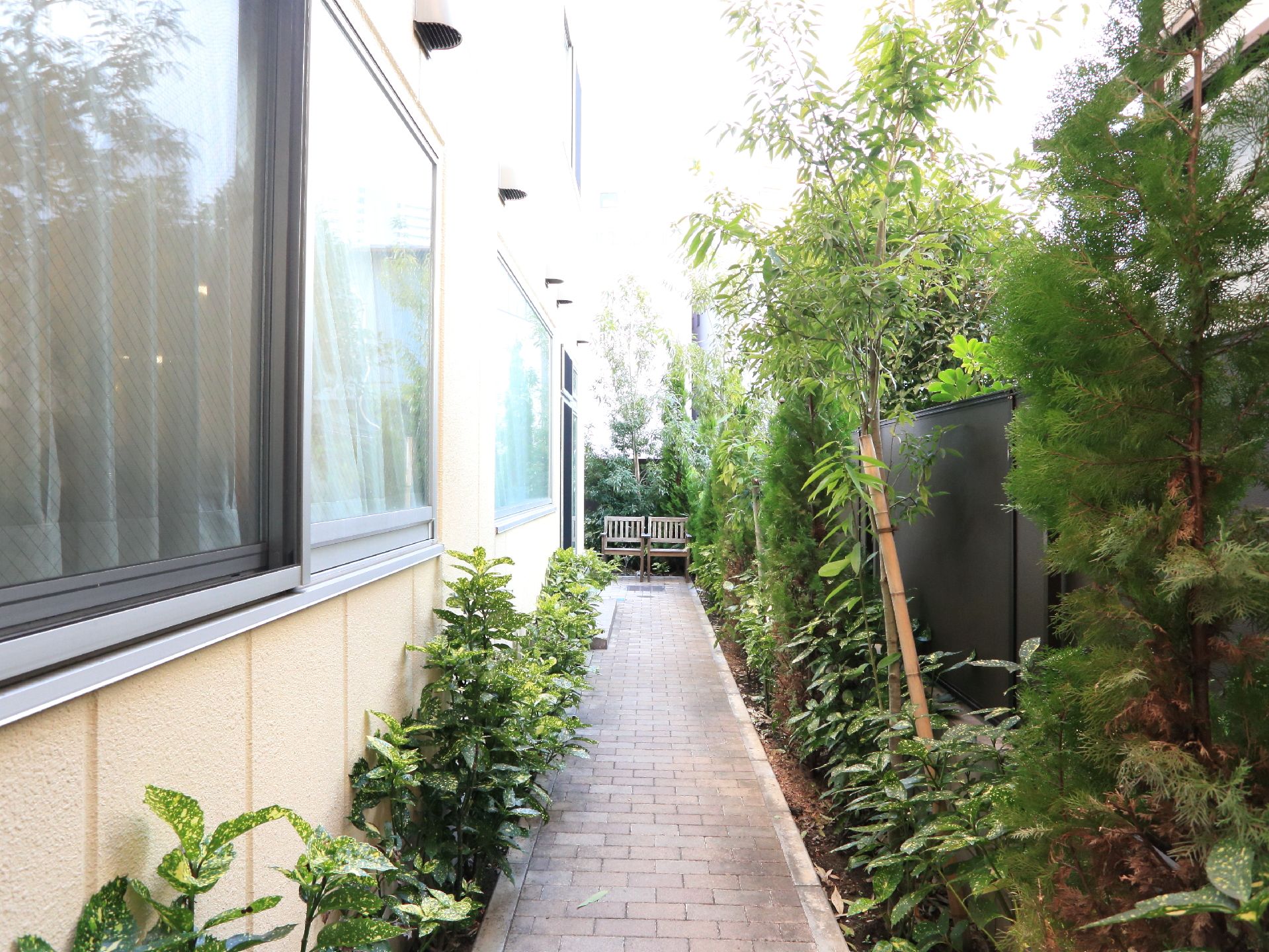 施設建物の横に設けられた通路。両側に植え込みがつくられ、植物や木々が植えられている。先には、木製の椅子が２つ置かれている。