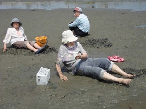 こころ春日井の外出レクリエーション。潮干狩りを楽しむ。