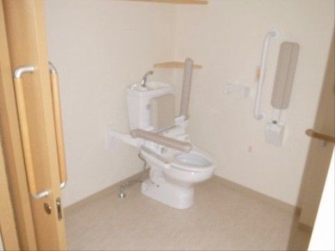 扉を開けると、突き当りに温水洗浄式便座がある。両側に可動式の肘置きがある。座って右手には非常用ブザーと縦長の手すりがある。