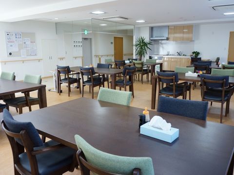 青と緑のイスが設置された、癒し効果のある観葉植物が配置されている食堂