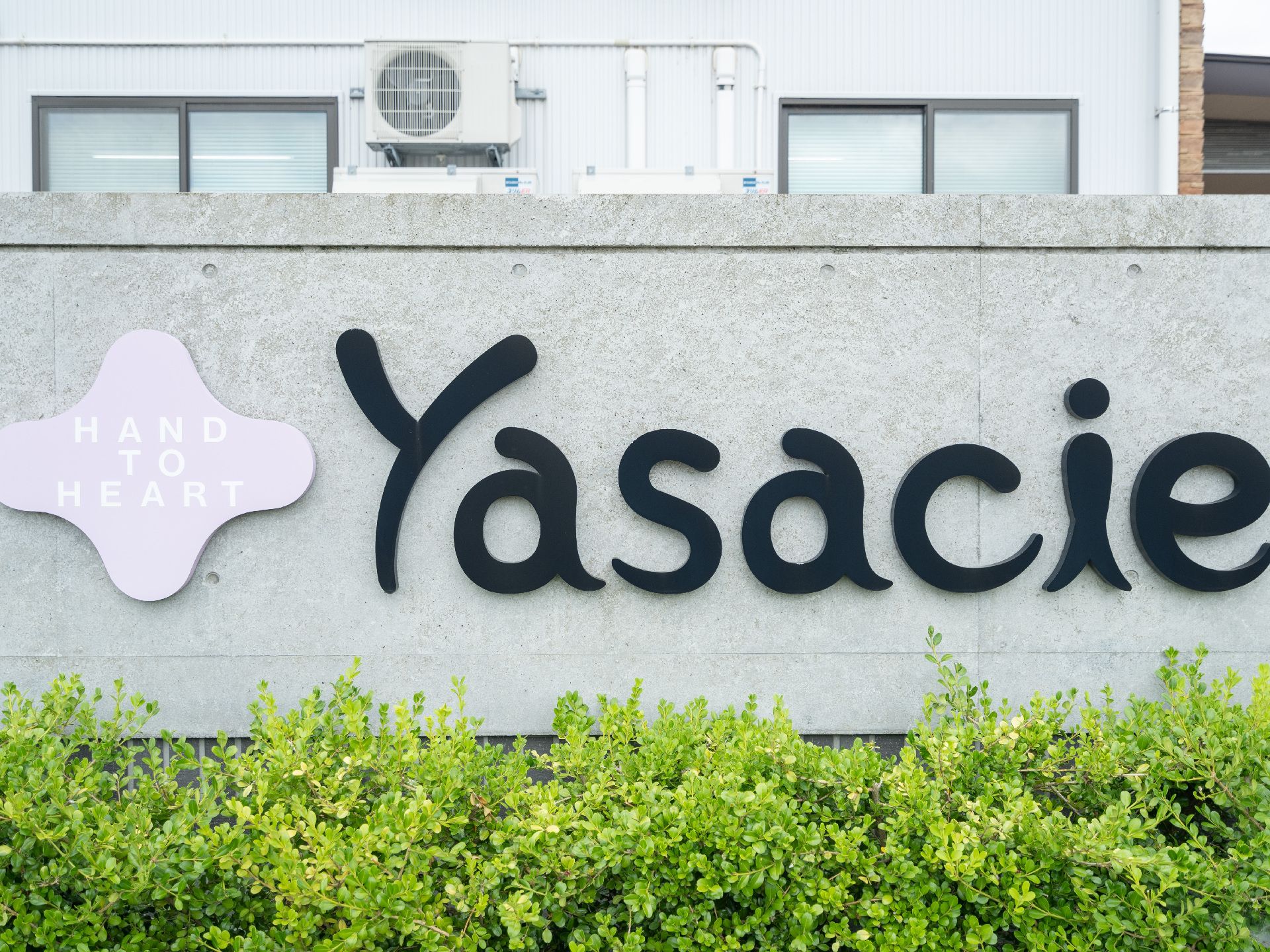 植物の後ろにある「Yasacie」と黒字で書かれた看板