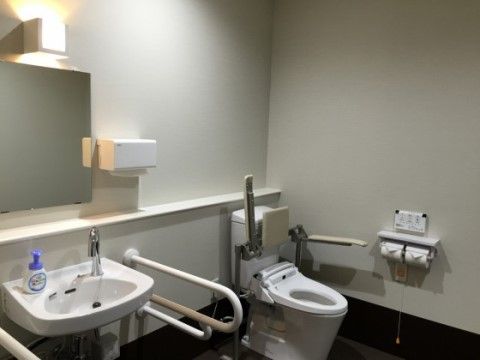 「ディーフェスタ東大宮」のトイレ。手すりが設置されている。