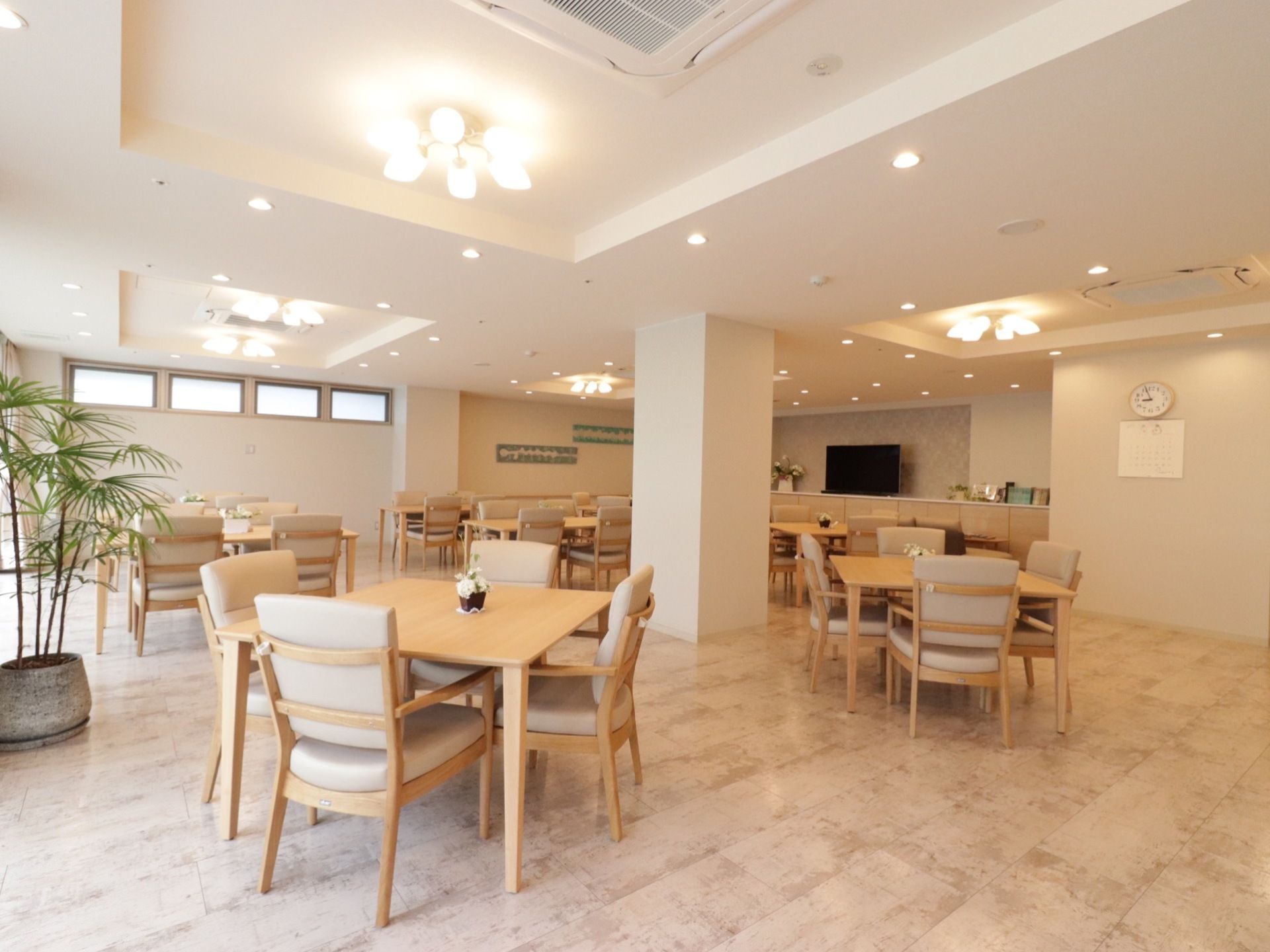 お部屋にはところどころに植物が飾られており、柔らかな雰囲気を演出している。高い天井と大きな窓が開放感を感じさせる。