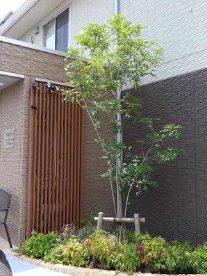 エントランス脇のグリーン