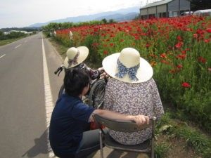 お散歩中の利用者様