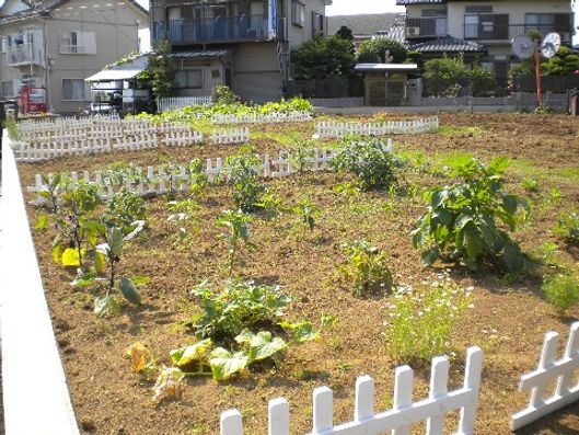 菜園スペース