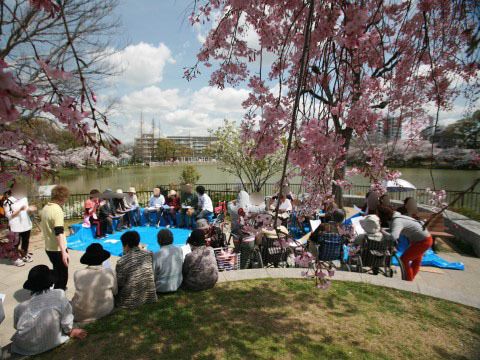 「ケア・ブリッジ帝塚山2号館」のレクリエーション。屋外でのイベントも企画されている。
