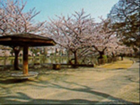 「ケア・ブリッジ帝塚山2号館」の周辺。万代池公園があり、花見も楽しめる。