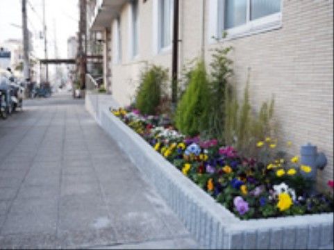 色とりどりの花が並ぶ外観