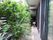 植物のあるベランダ