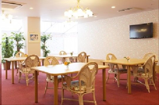 ダイニングテーブルと肘掛け椅子が並べられた食堂。テーブルの上には花が飾られ、窓の前には観葉植物が置かれている。壁にはテレビがある。