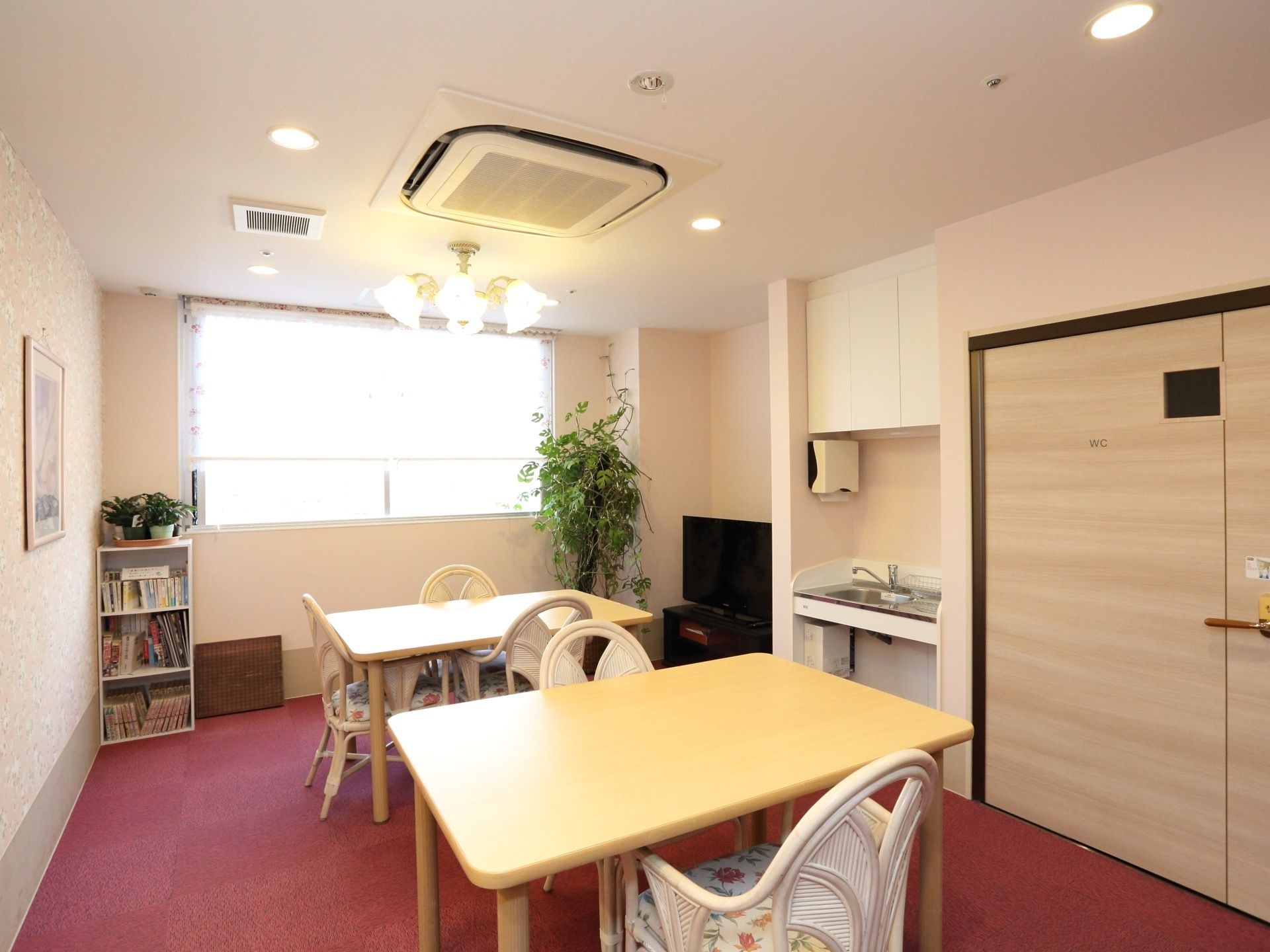 部屋の奥に大きな窓がある。カラーボックスの中には、本が入っている。テレビや観葉植物も置かれている。洗面台もある。
