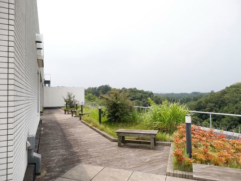 建物横の外の空間。緑で敷き詰められた花壇があり、外側には柵が設置してある。花壇横の所々に木製のベンチが置かれている。