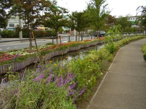 ゆるやかに流れる小川の周りを、色とりどりの花の咲き並ぶ散歩道