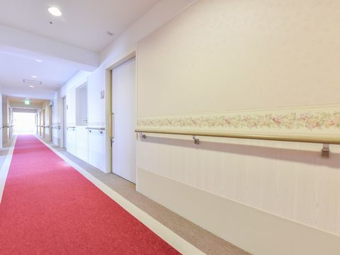広く開放的な廊下には中央にカーペットが敷き詰められている。歩きやすいように、手すりが完備されている。