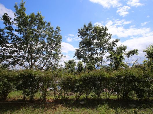 施設からの景色２