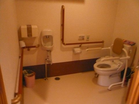 温水洗浄便座付きのトイレになっている。立ち座りでも体の負担が掛らないよう、トイレの周りに手すりが完備されている。