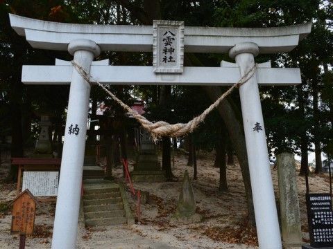 お正月にご入居者様とスタッフでお参りに行く、近くの神社