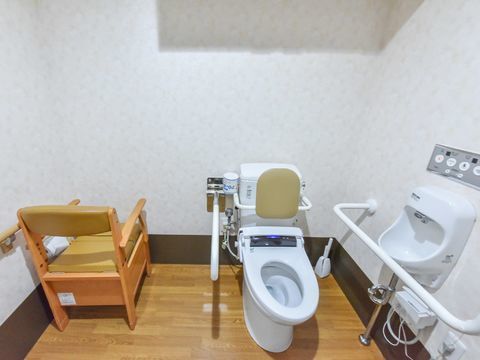 車椅子で利用可能なトイレには便座両脇に手すり、また背もたれが設置されている。そして、便座とは別に椅子も設置されている。
